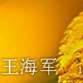 王海军