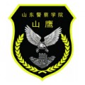 山鹰S.W.A.T