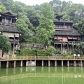 鲁乐乐