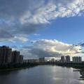 小紫
