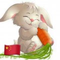 兔妈妈