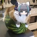 。。。。