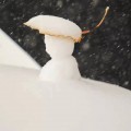 前郑