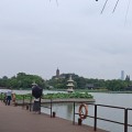 陆世杰