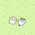 王星星