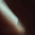 王相友