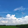 安锡顺后代