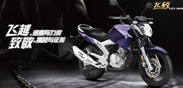 fz1.jpg