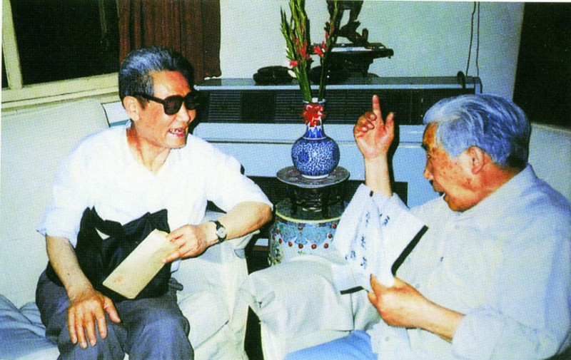 1458486170969118.jpg 80 岁的刘少傥,在南京鼓楼武中奇家中,与90岁的老战友纵论古今.jpg