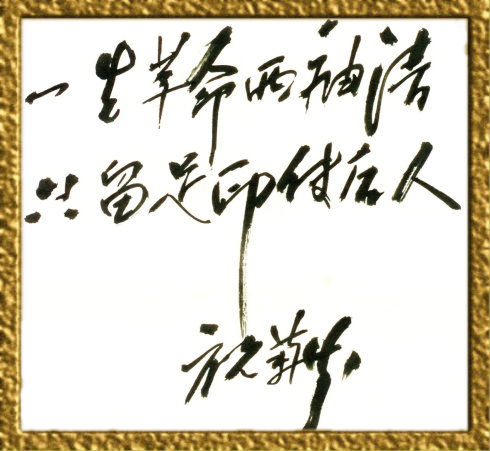 1466945957805296.jpg 44.jpg