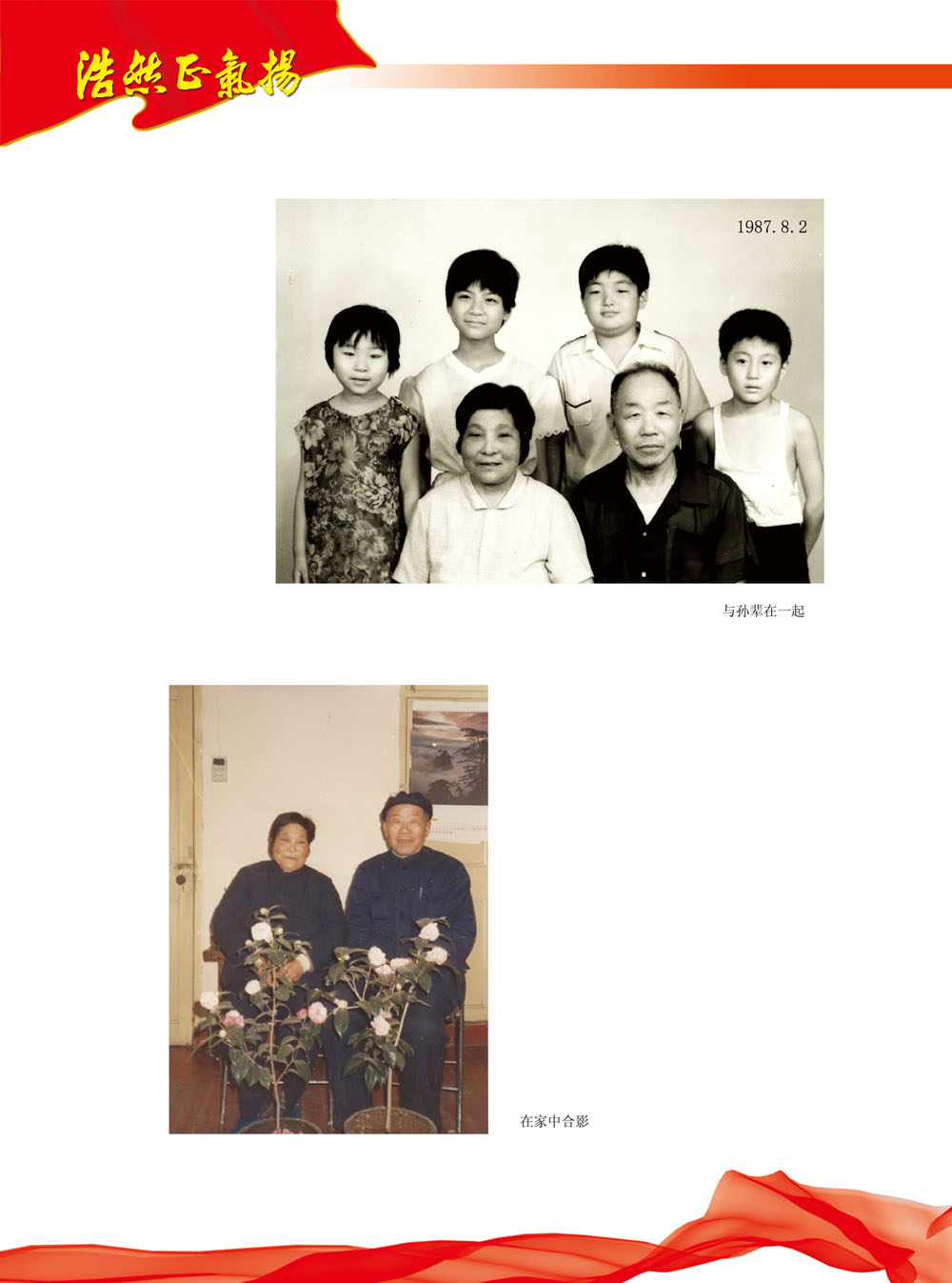 P19.jpg