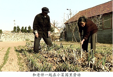 赤金女人3361.png