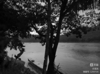 1660554401229301.png 图片2(1).png