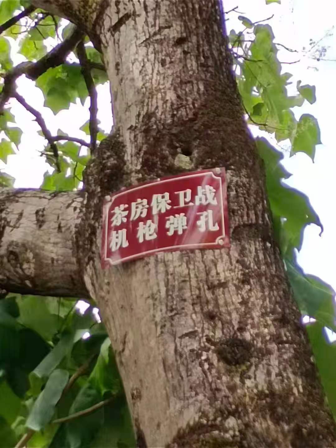 7  微信图片_20260223114459_3095_25.jpg