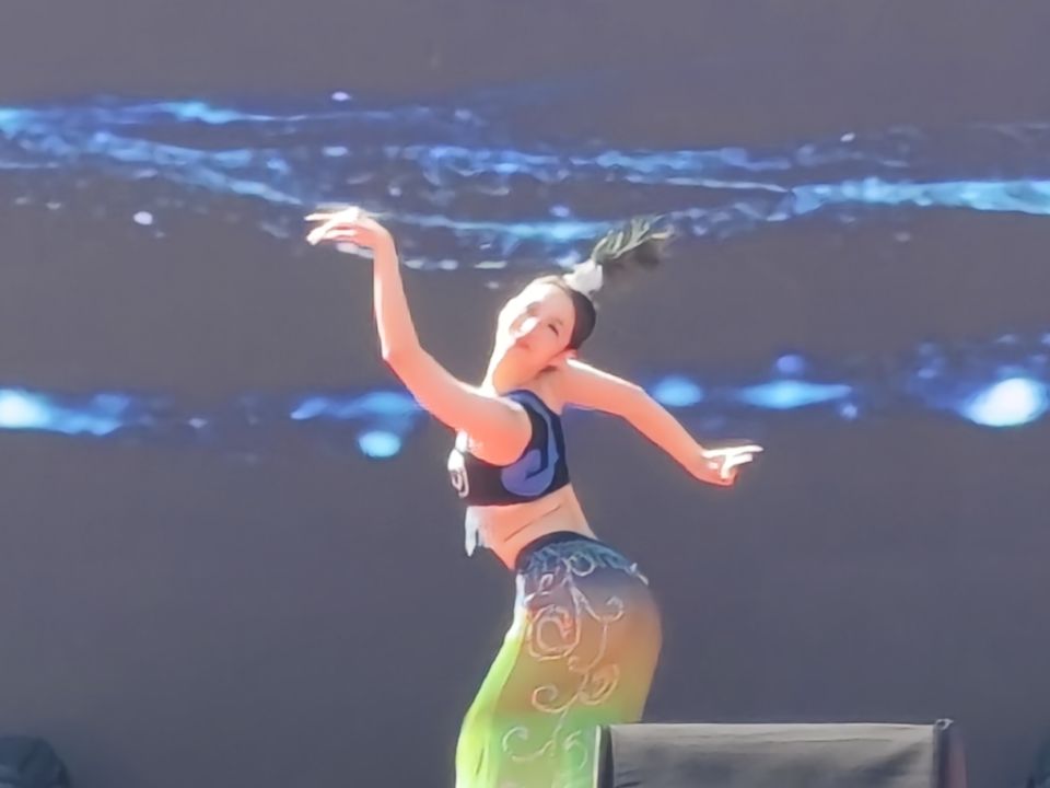 1771855211355993.jpg image017.jpg