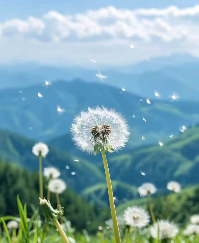微信图片_20260607182537_39_87.jpg